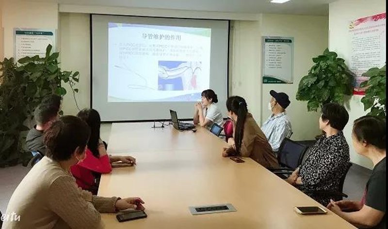 站群源码：解锁网站构建的新篇章